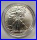 2008_Reverse_2007_Burnished_Silver_Eagle_A_Perfect_and_Flawless_Mark_Free_Coin_01_nig
