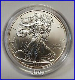 2008 Reverse 2007 Burnished Silver Eagle A Perfect and Flawless Mark Free Coin