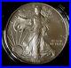2008_W_American_Silver_Eagle_Reverse_2007_Collectors_Coin_Burnished_A_Beauty_01_rlw