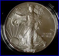 2008-W American Silver Eagle Reverse 2007. Collectors Coin, Burnished & A Beauty