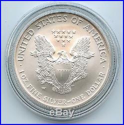 2008-W American Silver Eagle Reverse of 2007 Burnished Coin Rare Error JV985