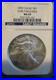 2009_American_Silver_Eagle_NGC_MS_69_Early_Releases_01_rigp