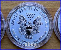 2011 American Silver Eagle 25th Anniversary 5 Coin Set (A25) OGP/COA With Toning