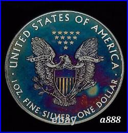 2013 Silver American Eagle Coin Colorful Rainbow Toning #a888