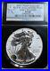 2013_W_Reverse_Proof_Silver_Eagle_1_Early_Releases_NGC_PF69_01_cdr