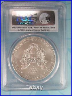 2013-w Burnished American Silver Eagle Pcgs Ms69 First Strike Label