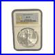 2014_NGC_Graded_MS70_United_States_Mint_999_Silver_Eagle_01_gd