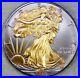 2015_American_Silver_Eagle_1oz_SILVER_Coin_with_24K_GOLD_GILDED_BU_UNCIRCULATED_01_te