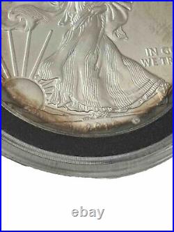 2015 American Silver Eagle Dollar $1 Coin UNC Beautifully Toned