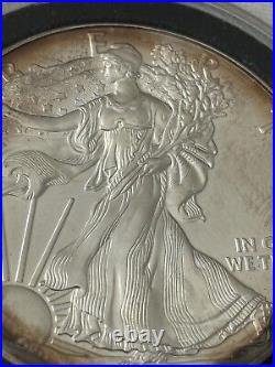 2015 American Silver Eagle Dollar $1 Coin UNC Beautifully Toned