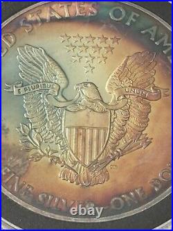 2015 American Silver Eagle Dollar $1 Coin UNC Beautifully Toned