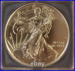 2015 (p) Icg Ms69 Silver Eagle Struck At Philadelphia Only 79,640 Struck Rare