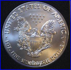 2019 America 1oz Silver Eagle ST-BU #F5195 Walking Liberty Privy W16 Rare