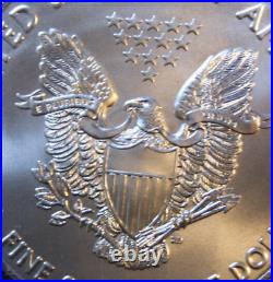 2019 America 1oz Silver Eagle ST-BU #F5195 Walking Liberty Privy W16 Rare