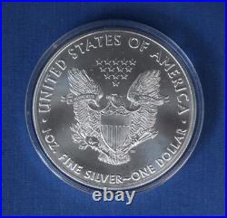 2020 1oz Silver Coloured Eagle $1 coin Native American in Case with COA