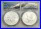 2021_American_Silver_Eagle_PCGS_MS_69_Type_1_Type_2_Set_Eagle_Label_01_det