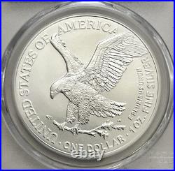 2021 American Silver Eagle PCGS MS 69 Type 1 & Type 2 Set Eagle Label 2021 American Silver Eagle PCGS MS 69 Type 1 & Type 2 Set Eagle Label