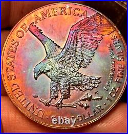 2022 1 OZ American Silver Eagle! Monster Toned