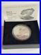 2023_American_Eagle_One_Ounce_Silver_Proof_Coin_0_999_Silver_Mint_Condition_01_ysc