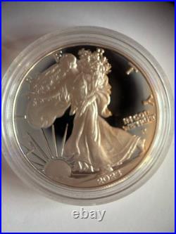 2023 American Eagle, One Ounce Silver Proof Coin, 0.999 Silver. Mint Condition 2023 American Eagle, One Ounce Silver Proof Coin, 0.999 Silver. Mint Condition