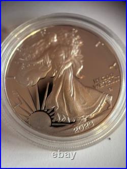 2023 American Eagle, One Ounce Silver Proof Coin, 0.999 Silver. Mint Condition 2023 American Eagle, One Ounce Silver Proof Coin, 0.999 Silver. Mint Condition