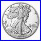 2023_W_Proof_American_Silver_Eagle_One_Ounce_Silver_In_Mint_Box_With_Coa_01_qli