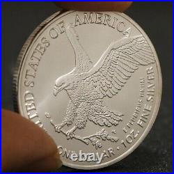 2024 1 oz American Silver Eagle Coin BU-Lot of 10 Coins