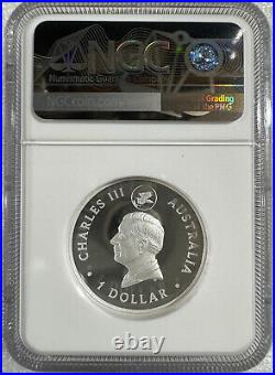 2024 Australia Wedge Tailed Eagle Gilt 1 oz Silver NGC PF70 Ultra Cameo TOP POP