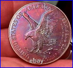 2024 Monster Toned 1 OZ American Silver Eagle! Se41