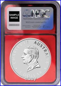 2025P Australia $1 WEDGE TAILED EAGLE 1 Oz with Red Foil Holder NGC MS70 FR 2025P Australia $1 WEDGE TAILED EAGLE 1 Oz with Red Foil Holder NGC MS70 FR