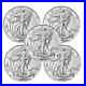 2025_1_oz_American_Silver_Eagle_Coin_999_Fine_BU_Lot_of_5_01_bi