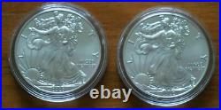 2 x 2020 Eagle America Silver Bullion 1oz Coins in Capsules 1$ U/circulated Mint
