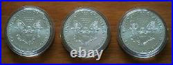 3 x 2020 Eagle America Silver Bullion 1oz Coins with Capsules 1 $ Uncirculated
