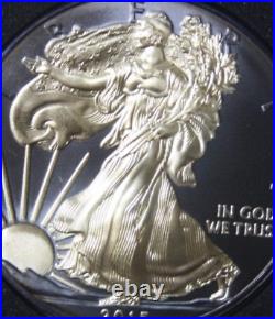 America 1 oz 2015 American Silver Eagle #F6409 Walking Liberty Black Ruthenium America 1 oz 2015 American Silver Eagle #F6409 Walking Liberty Black Ruthenium