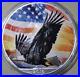 America_1oz_2010_American_Silver_Eagle_ST_BU_F6537Bald_Eagle_Colored_01_vdv