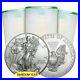 American_1oz_Silver_Eagle_Roll_of_20_Mixed_Dates_Impaired_Minor_Imperfections_01_dsa