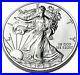 American_Eagle_999_Silver_1oz_Coins_2012_Tube_of_20_New_Uncirculated_01_gd