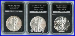 American Eagle Silver Dollars PCS Coin 2008 2015 Set Collection BT911