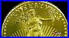 American_Gold_Eagle_Coin_Texas_Precious_Metals_01_xia