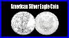 American_Silver_Eagle_Coin_01_st