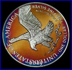 American Silver Eagle Coin Type 2 Colorful Rainbow Toning #a838