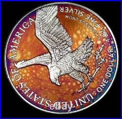 American Silver Eagle Coin Type 2 Colorful Rainbow Toning #a841