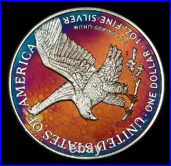 American Silver Eagle Coin Type 2 Colorful Rainbow Toning #a847