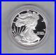 Boxed_2006_W_West_Point_Mint_USA_Silver_Proof_One_Ounce_Eagle_1_Coin_Near_Mint_01_fu