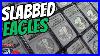Collecting_Graded_American_Silver_Eagle_Coins_Start_Here_01_ltr