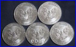 Five (5) 2013 Silver American Eagle 1 Oz Bullion Lot 011012