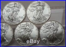 Group Of 10 $1 American Silver Eagles All 1996 1 Oz 999 Fine Silver Each