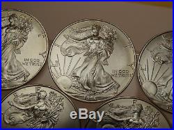 Group Of 10 $1 American Silver Eagles All 1996 1 Oz 999 Fine Silver Each