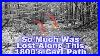 In_The_1800_S_They_Lost_Silver_Coins_Flying_Eagle_S_Ihp_S_And_Other_Relics_Along_This_Cart_Path_01_iz