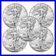 LOT_OF_5_2024_1_American_Silver_Eagle_Coin_1oz_BU_Magnet_tested_sealed_BAG_GIFT_01_cbl